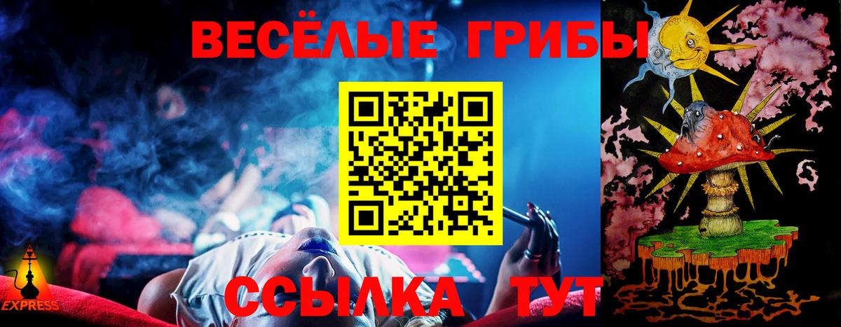 Тавда  Галлюциногенные грибы Psilocybe  Вход с VPN 
