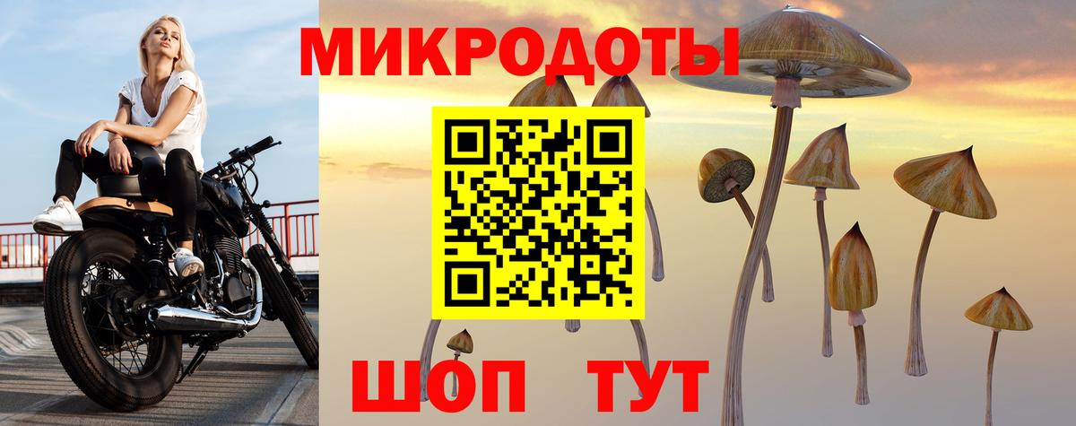 Псилоцибиновые грибы Cubensis Тавда