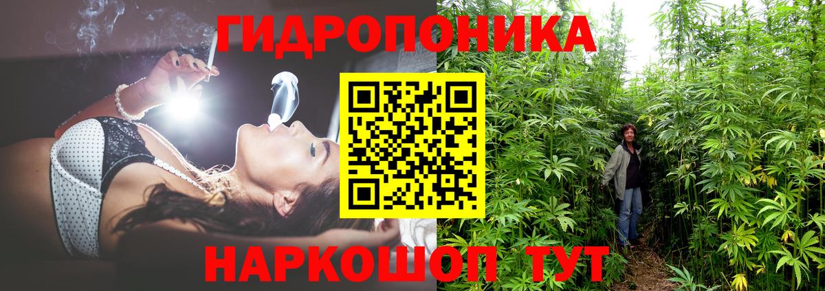 МАРИХУАНА марихуана Тавда